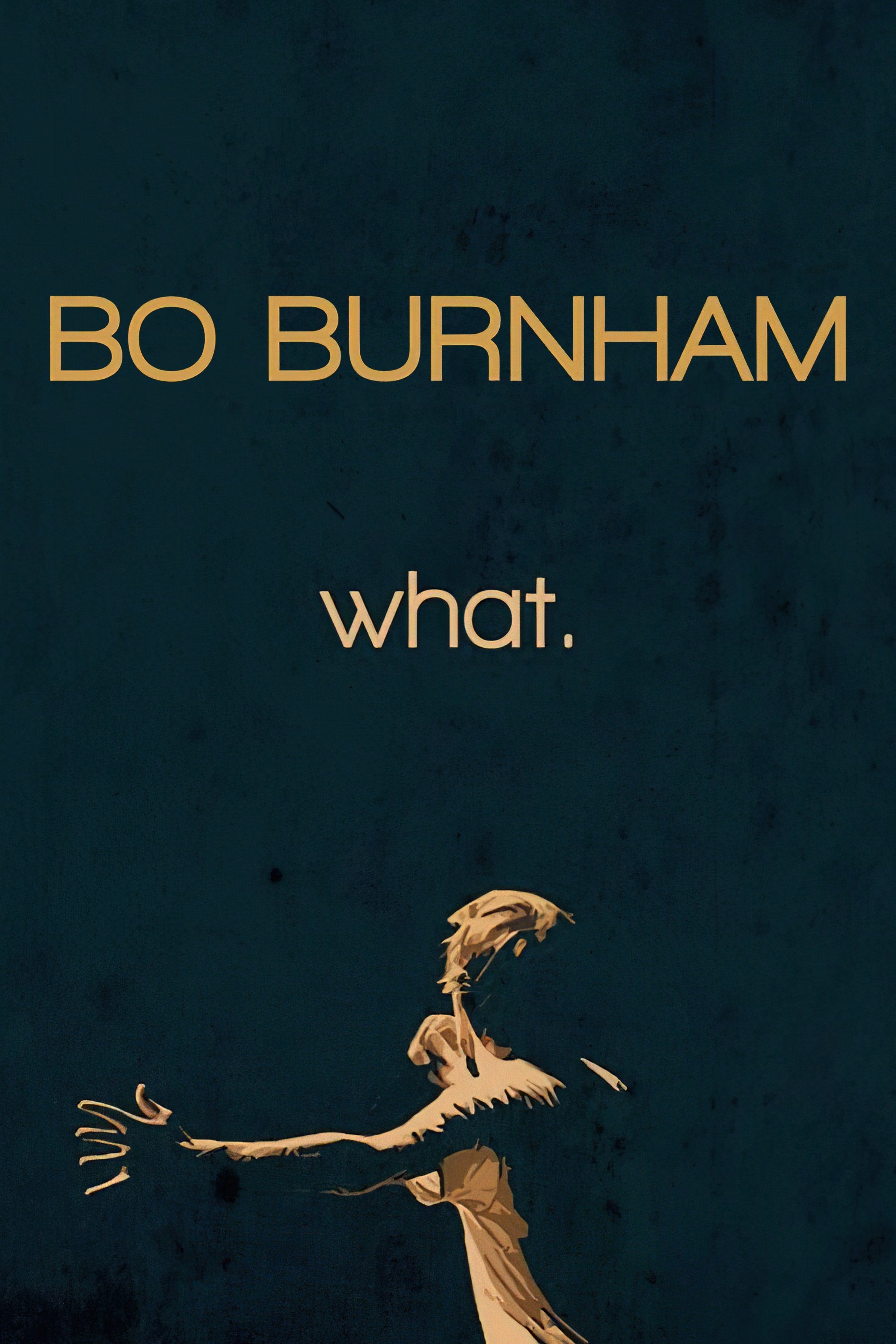 Bo Burnham what. (2013) [44716] (A1767051231) [[Stand Up]] --Plex--